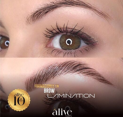Curso de laminado de cejas Brow Lamination en Alive Academy Majadahonda Madrid